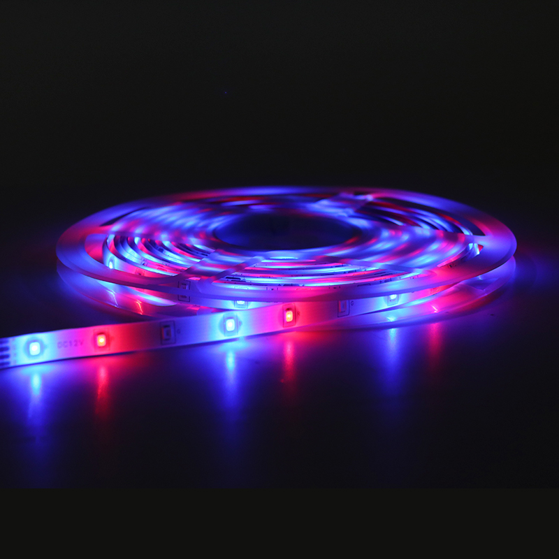 24V RGB светодиодная лента - Foshan Electrical and Lighting Co.,Ltd